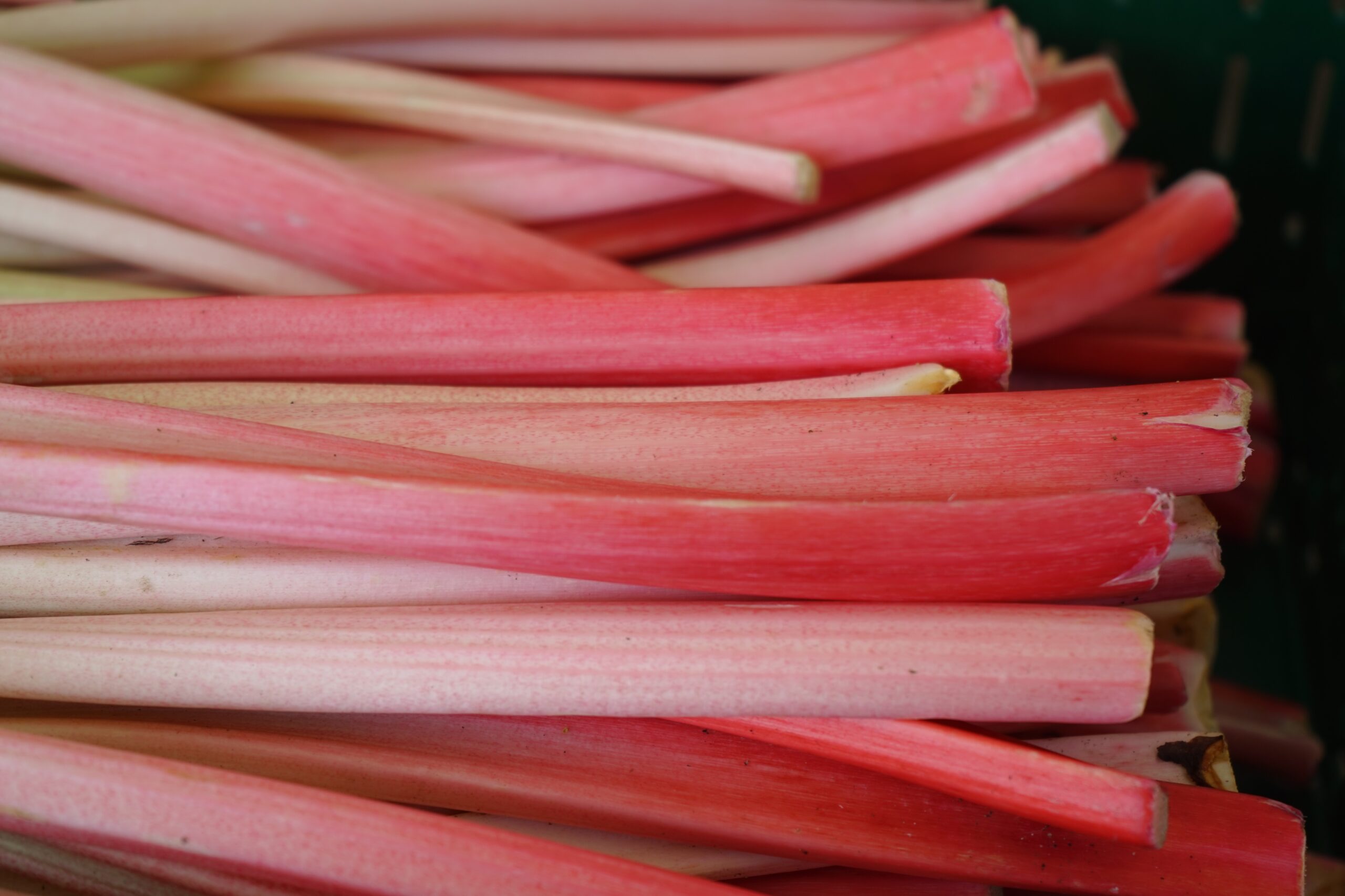 Eau rafraîchissante parfumée à la rhubarbe et aux queues de fraises